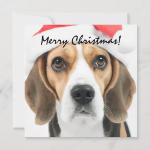 Weihnachten mit Beagle Mitteilungskarte