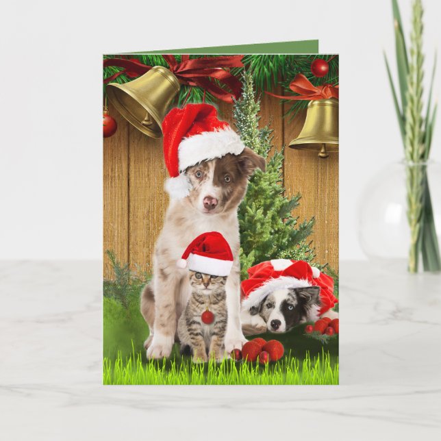 Weihnachten mit Liebhabern von Haustieren feiern (Vorderseite)