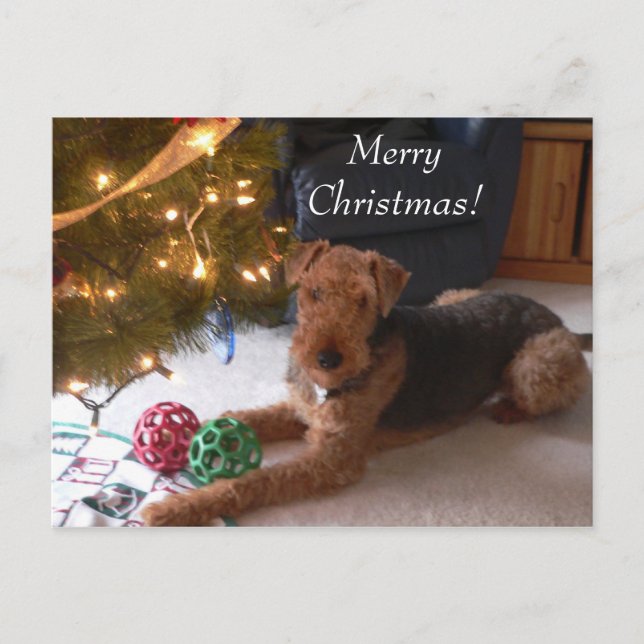 Weihnachten mit Madeleine-Postkarte (Vorderseite)