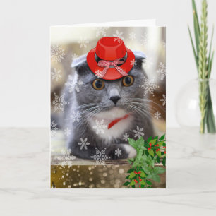 Weihnachten mit Scottish Fold Cat in Red Hat Karte