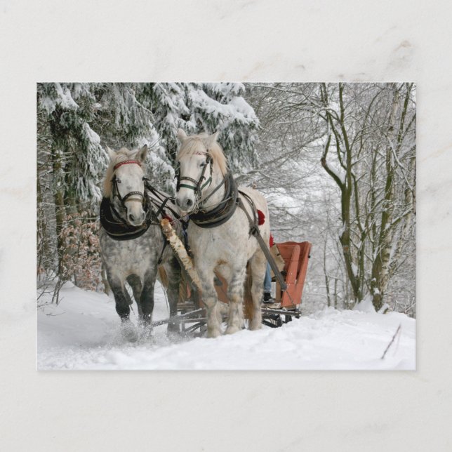 Weihnachten mit Zugpferden (Vorderseite)