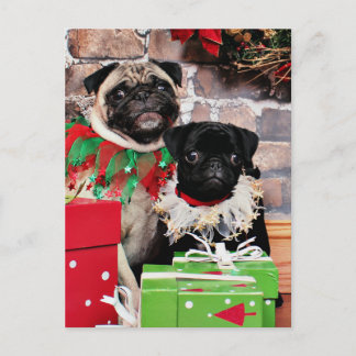 Weihnachten - Mops - Gänseblümchen Mae und Lilie