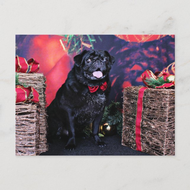 Weihnachten - Mops - Kleine Moe (Vorderseite)