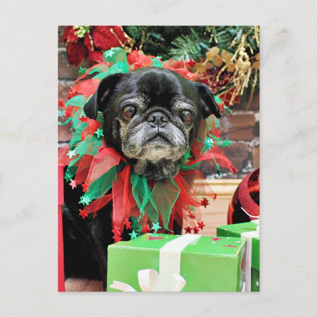 Weihnachten - Mops - Michaelis (Vorderseite)