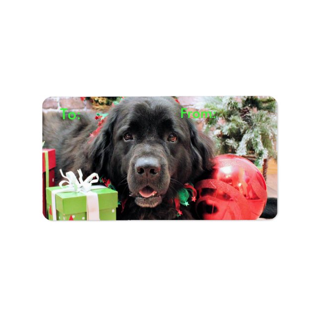 Weihnachten - Neufundland - Izzie Adressaufkleber (Vorne)