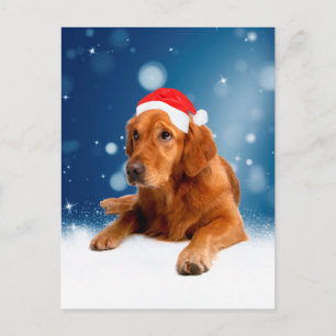 Weihnachten Niedlich Golden Retriever Hund Weihnac