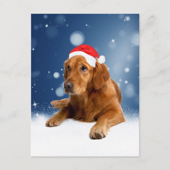 Weihnachten Niedlich Golden Retriever Hund Weihnac (Vorderseite)