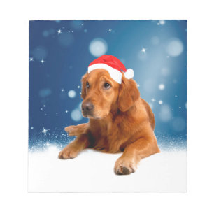 Weihnachten Niedlich Golden Retriever Hund Weihnac Notizblock