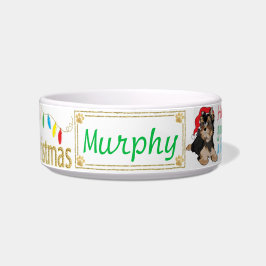 Weihnachten Niedlicher Hund Hausgebäck Furry Littl Napf