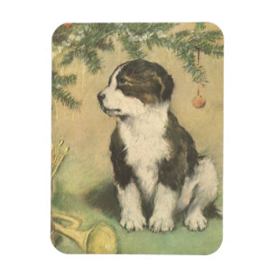 Weihnachten, Niedlicher Welpe unter Weihnachtsbaum Magnet