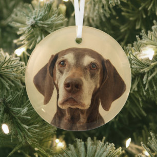 Weihnachten Ornament Aus Glas
