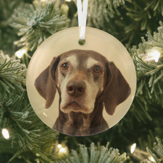 Weihnachten Ornament Aus Glas