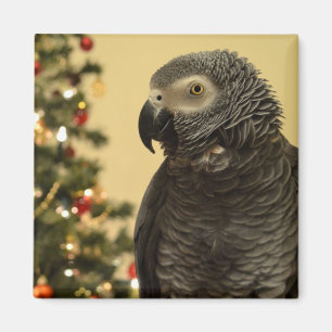 Weihnachten Parrot Magnet