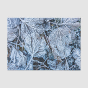 Weihnachten Party Blue Blätter Schnee Urlaub Winte Seidenpapier
