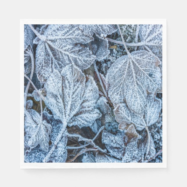 Weihnachten Party Blue Blätter Schnee Urlaub Winte Serviette (Vorderseite)