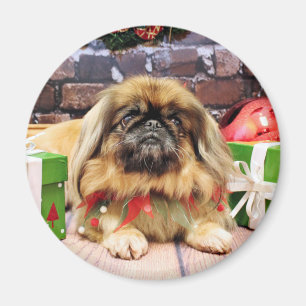 Weihnachten - Pekingese - Kiesel Magnet