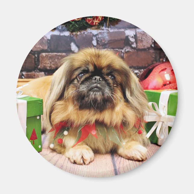 Weihnachten - Pekingese - Kieselsteine Magnet (Vorne)