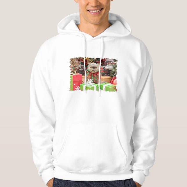 Weihnachten - persische Katze - Morrison Hoodie (Vorderseite)