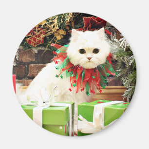 Weihnachten - persische Katze - Toby Magnet