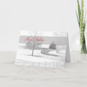 Weihnachten - Pferderasse - Winter/Schnee