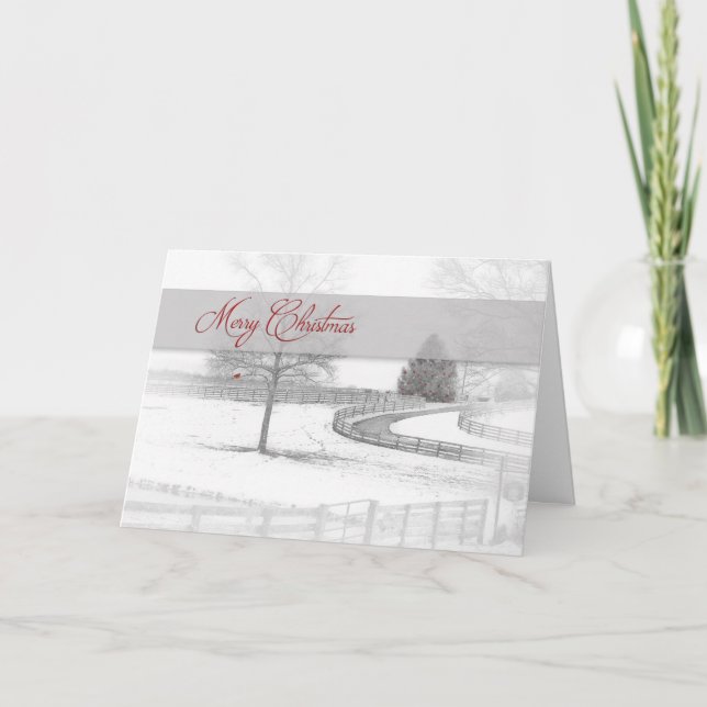 Weihnachten - Pferderasse - Winter/Schnee (Vorderseite)