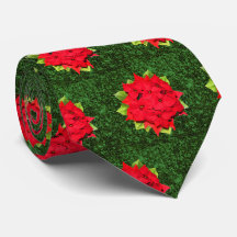 Weihnachten-Poinsettia (Hintergrund des grünen Gli