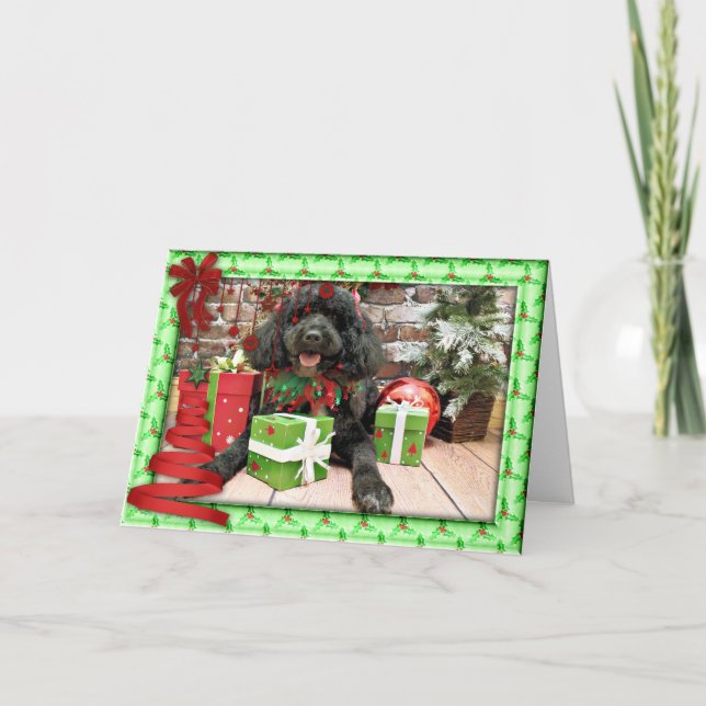 Weihnachten - Portugiesischer Wasserhund - Lucy (Vorderseite)