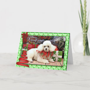 Weihnachten - Pudel - Sophie