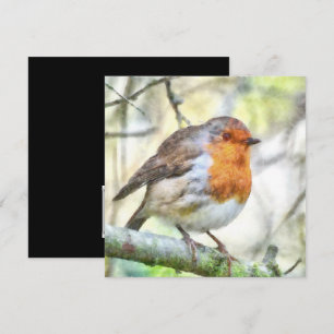 Weihnachten Robin RedBrustbrand Winter Wasserfarbe Einladung