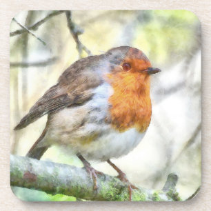 Weihnachten Robin RedBrustbrand Winter Wasserfarbe Getränkeuntersetzer