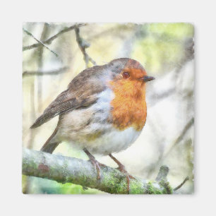 Weihnachten Robin RedBrustbrand Winter Wasserfarbe Magnet