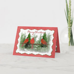 Weihnachten - Rote Kardinal auf Zweig gekrönt