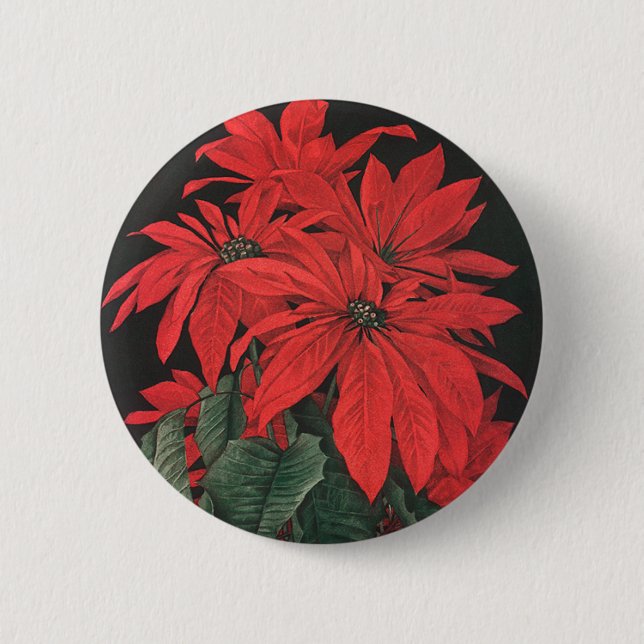 Weihnachten Rote Pflanze Blume Button (Vorderseite)