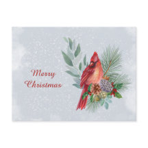 Weihnachten - Roter Kardinal - Geschäftsfarbe