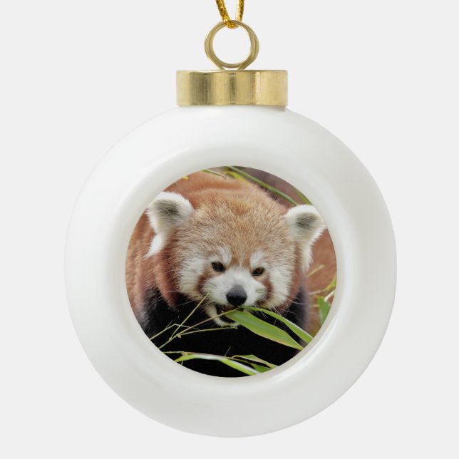 Weihnachten, roter Panda. Keramik Kugel-Ornament (Vorderseite)