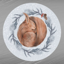 Weihnachten Rotes Eichhörnchen Kiefer Wasserfarbe