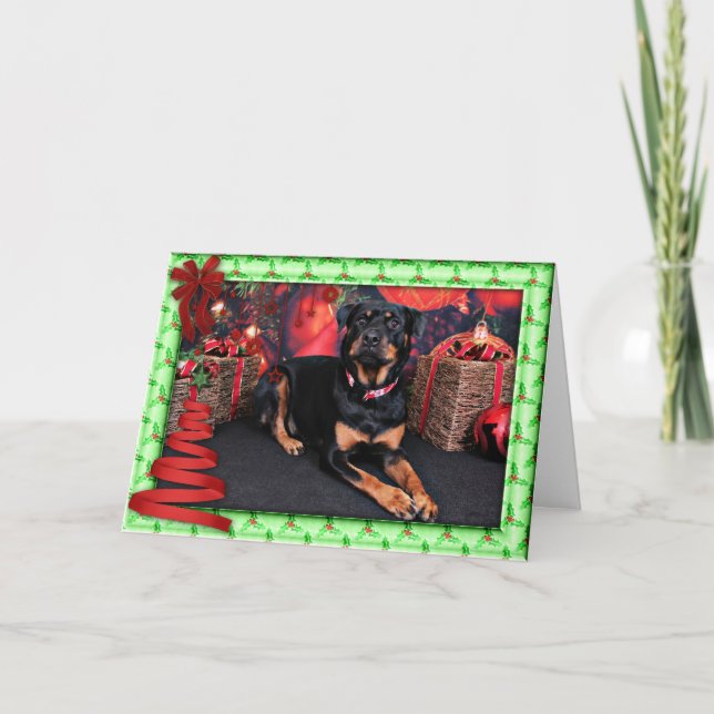 Weihnachten - Rottweiler - Nalani (Vorderseite)