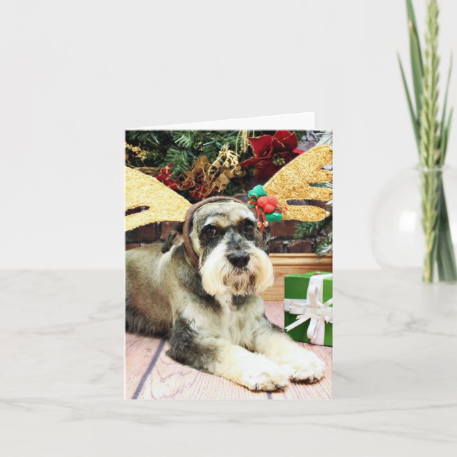 Weihnachten - Schnauzer - Apache (Vorderseite)