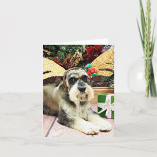 Weihnachten - Schnauzer - Apache