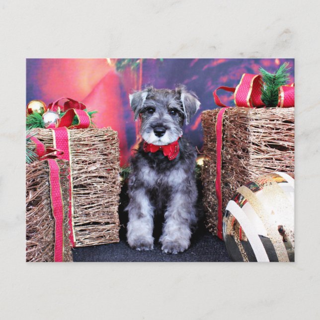 Weihnachten - Schnauzer - Artillerist (Vorderseite)