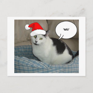 Weihnachten Schwarz und Weiß Kitten