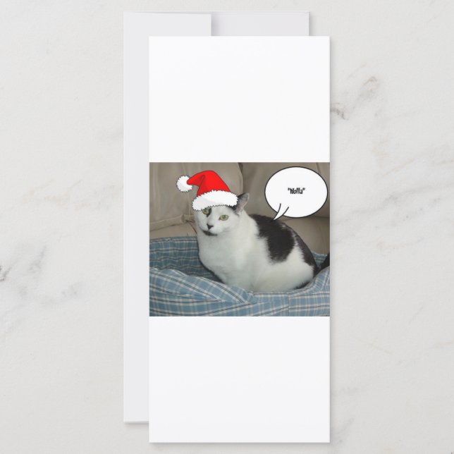 Weihnachten Schwarz und Weiß Kitten (Vorderseite)