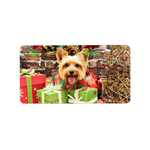 Weihnachten - seidiges Terrier - Haley Adressaufkleber