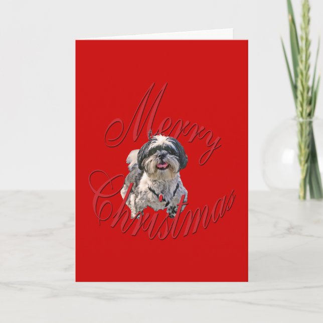 Weihnachten Shih Tzu (Vorderseite)