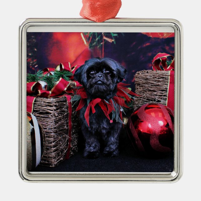 Weihnachten - Shih Tzu - Lily Silbernes Ornament (Vorne)