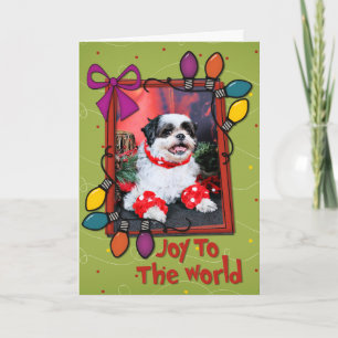 Weihnachten - Shih Tzu - Mishka