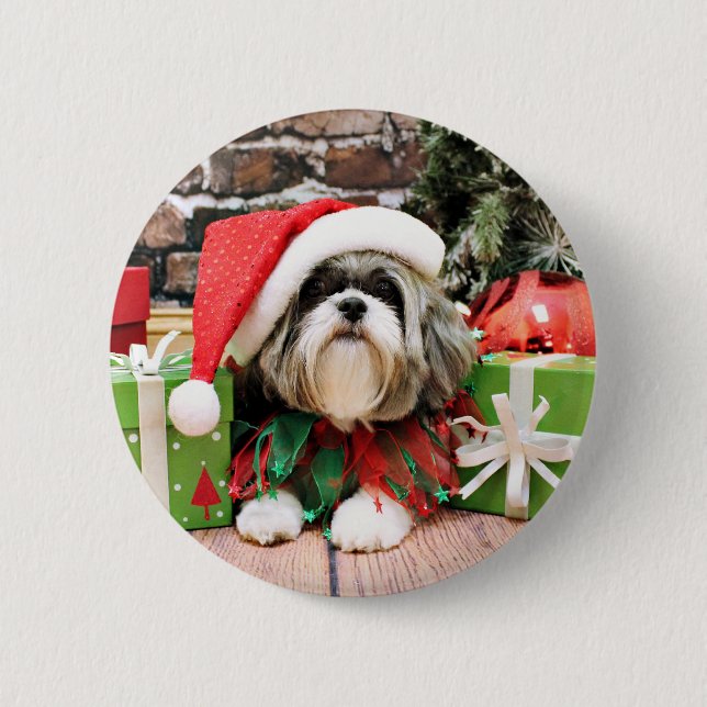 Weihnachten - Shih Tzu - Vince Button (Vorderseite)