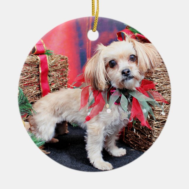 Weihnachten - Shorkie - Charlie Keramikornament (Vorne)