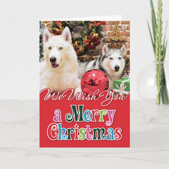 Weihnachten - Sibirische Huskies - Bailey und Katy (Vorderseite)