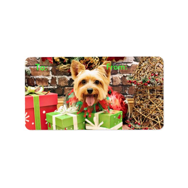 Weihnachten - Silky Terrier - Haley Adressaufkleber (Vorne)